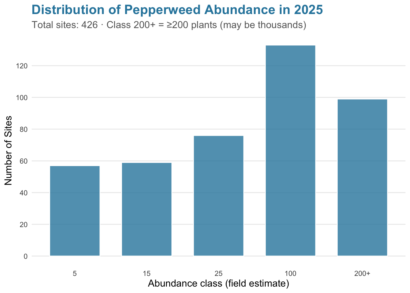 Bar chart of perennial pepperweed sites by field abundance class (5, 15, 25, 100, 200+) for the current survey year. Class 200+ means 200 or more plants and may represent thousands.
