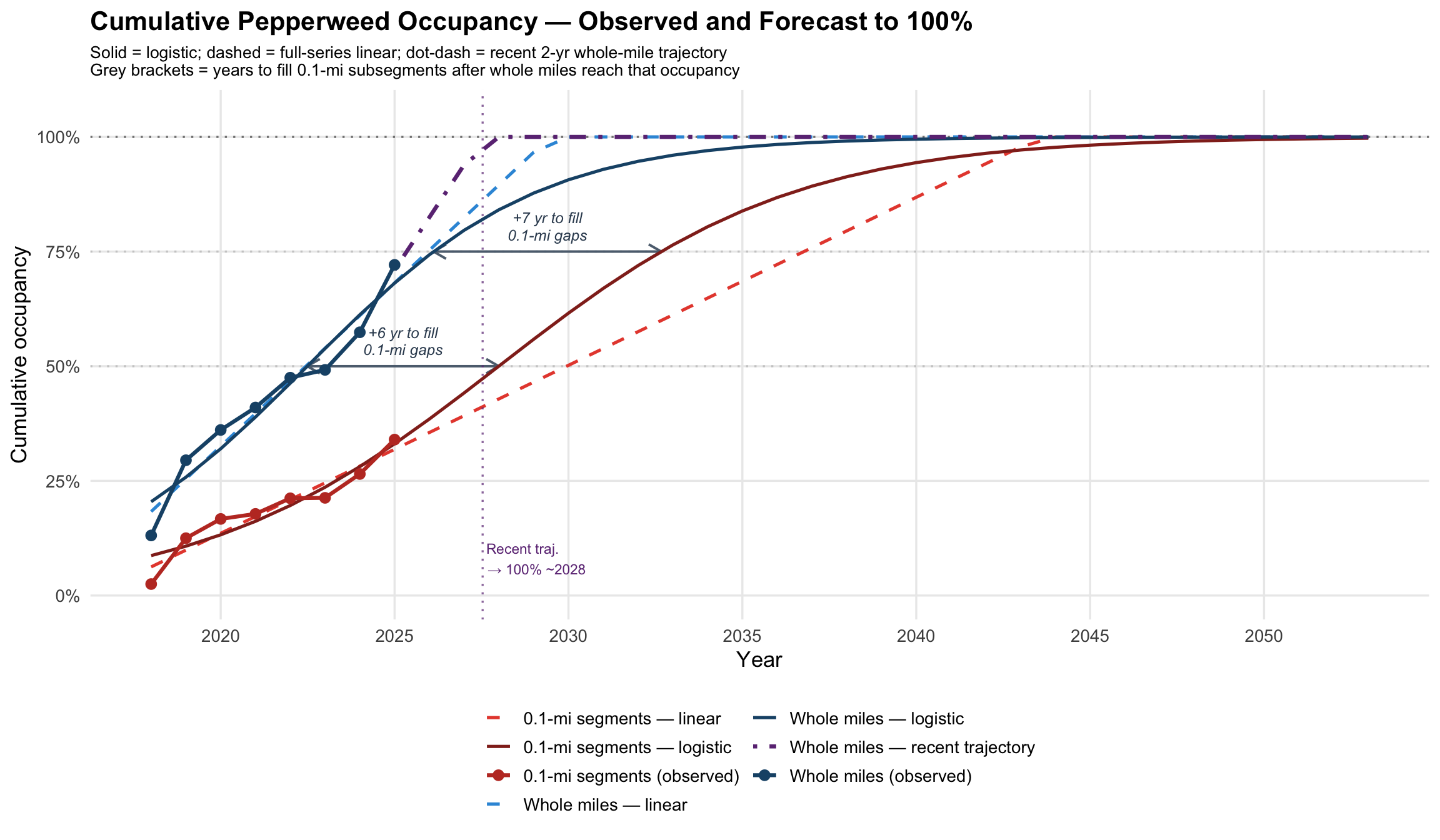 Line chart of cumulative pepperweed occupancy over time for whole river miles and 0.1-mile segments, with linear, logistic, and recent-trajectory forecasts toward 100 percent known occupancy.