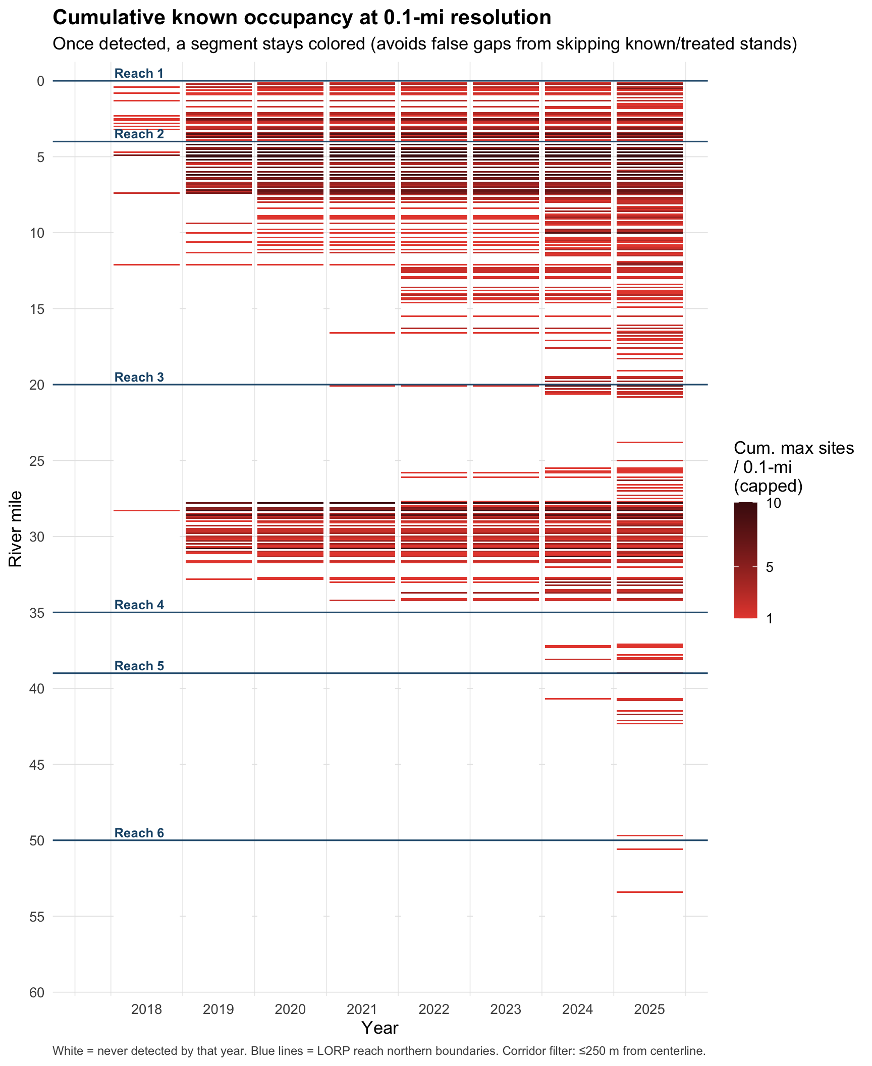 Heatmap of cumulative known pepperweed occupancy along the LORP corridor at 0.1-mile resolution by year from 2018 to 2025. White cells mean never detected; red intensity is cumulative maximum sites per segment. Blue lines mark LORP reach northern boundaries.