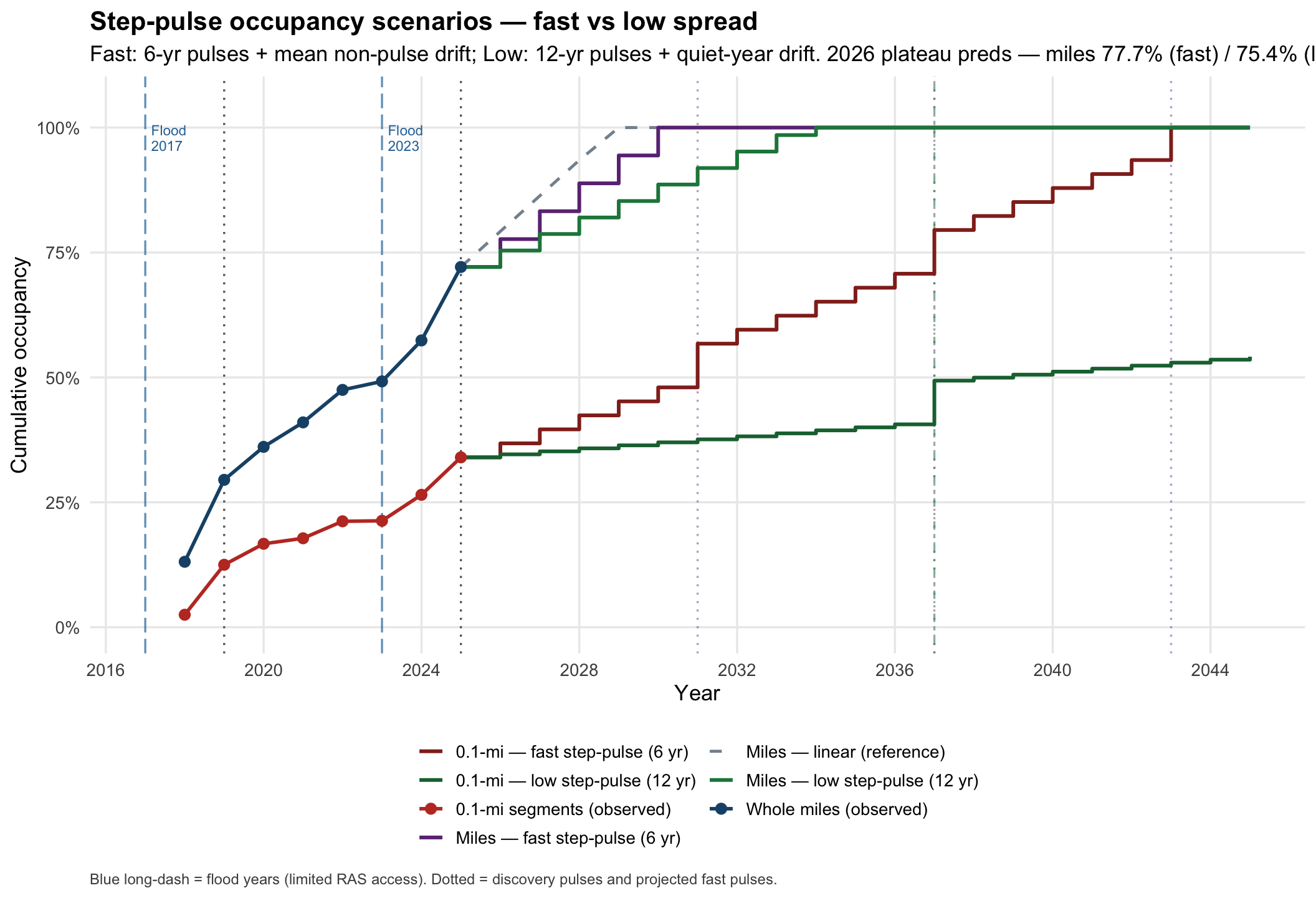 Step-pulse forecasts of cumulative pepperweed occupancy for whole river miles and 0.1-mile segments under fast 6-year and low-spread 12-year scenarios, compared with linear reference and observed 2018–2025 points. Flood years 2017 and 2023 marked.