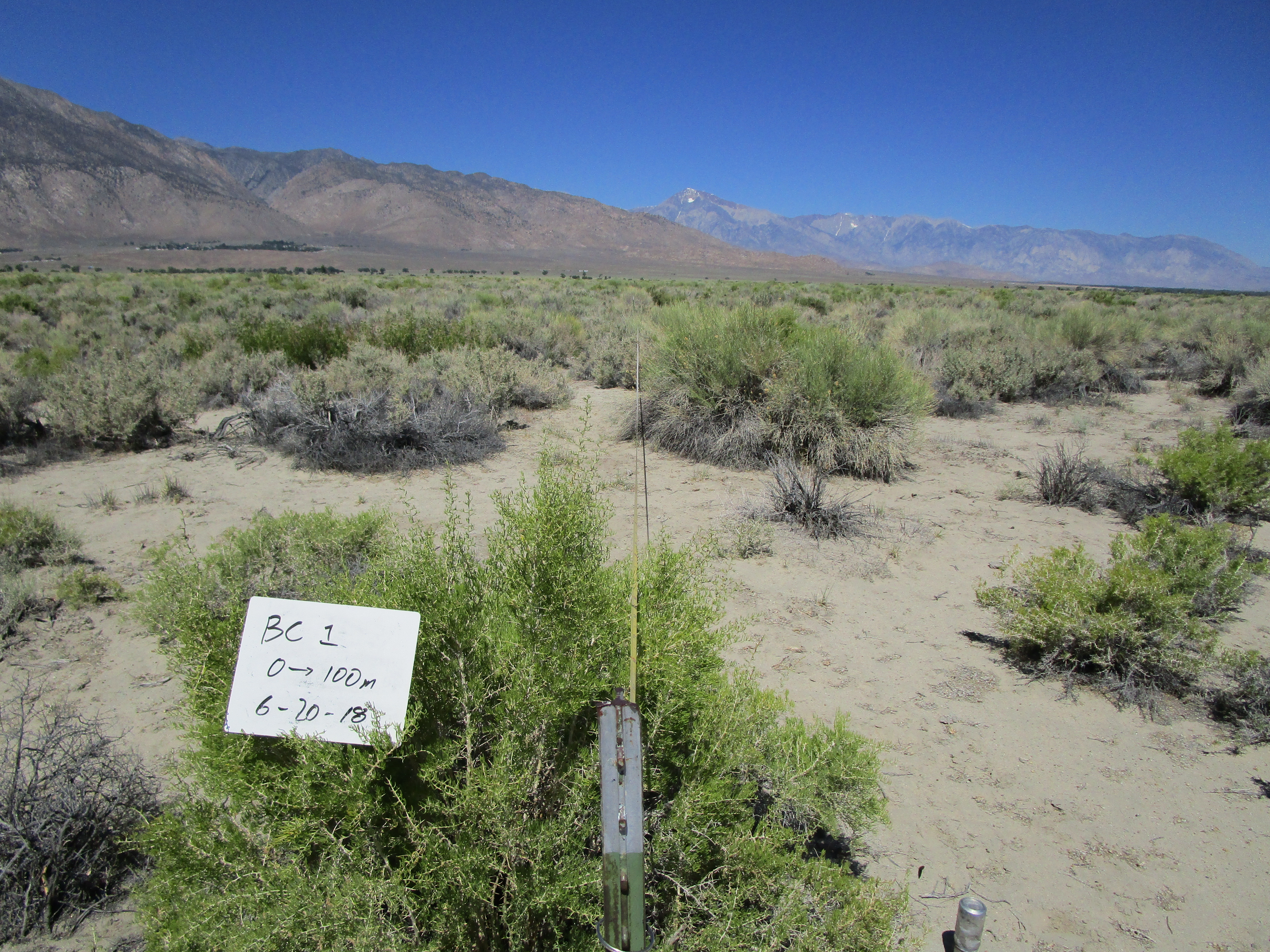 Bishop Control Site #1 point-frame photo