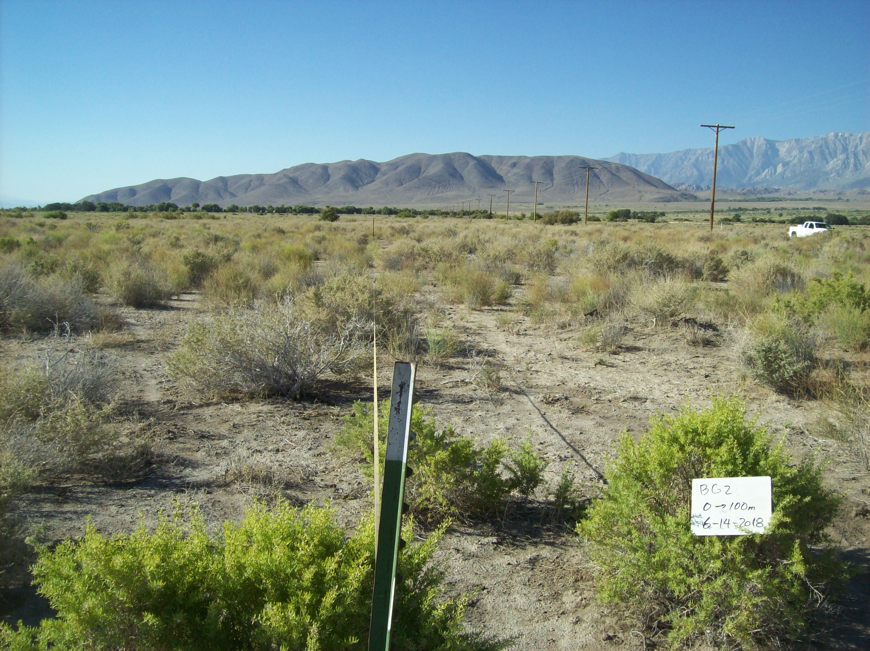 Bairs/Georges Monitoring Site #2 point-frame photo
