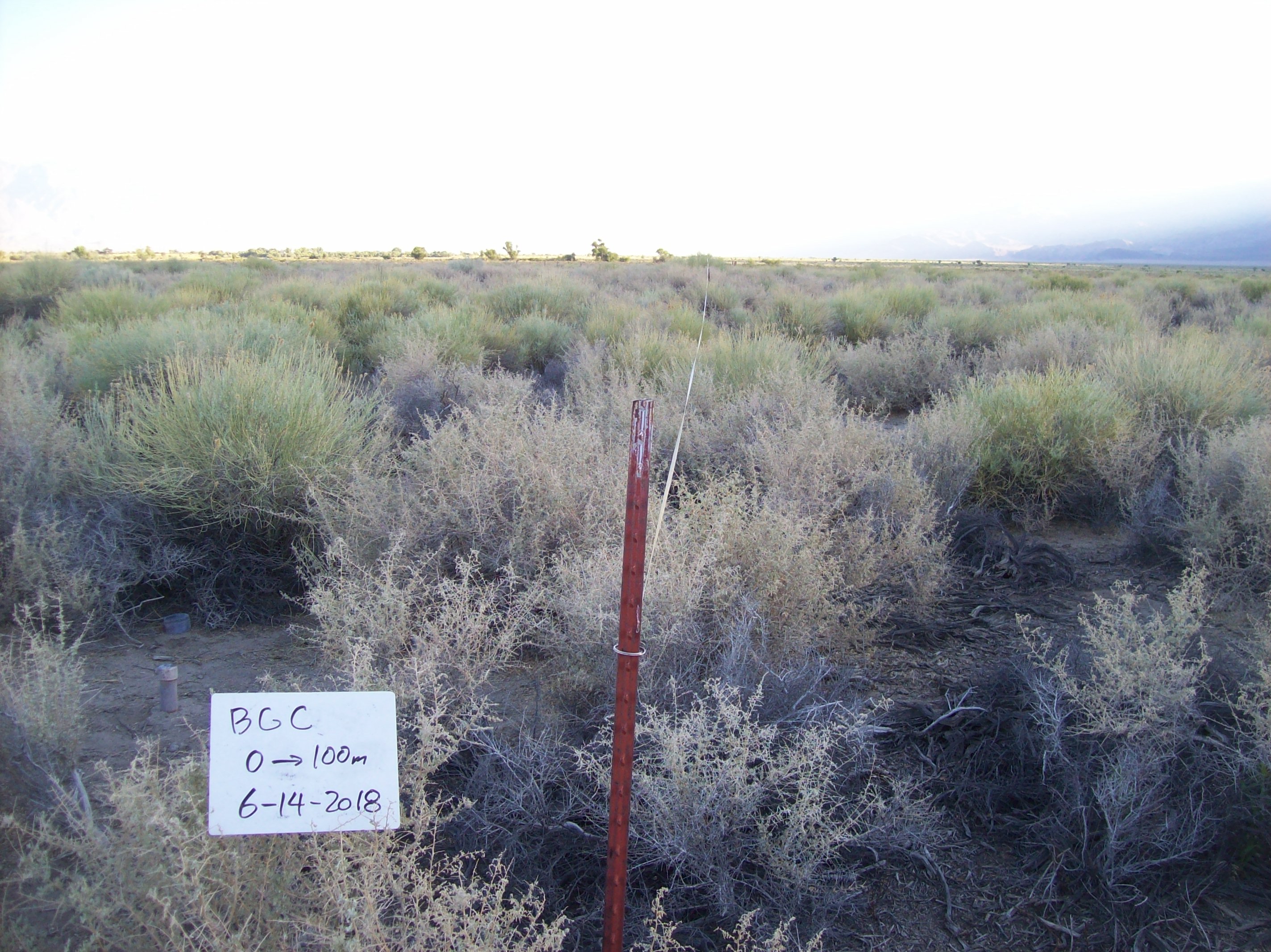 Bairs/Georges Control Site point-frame photo