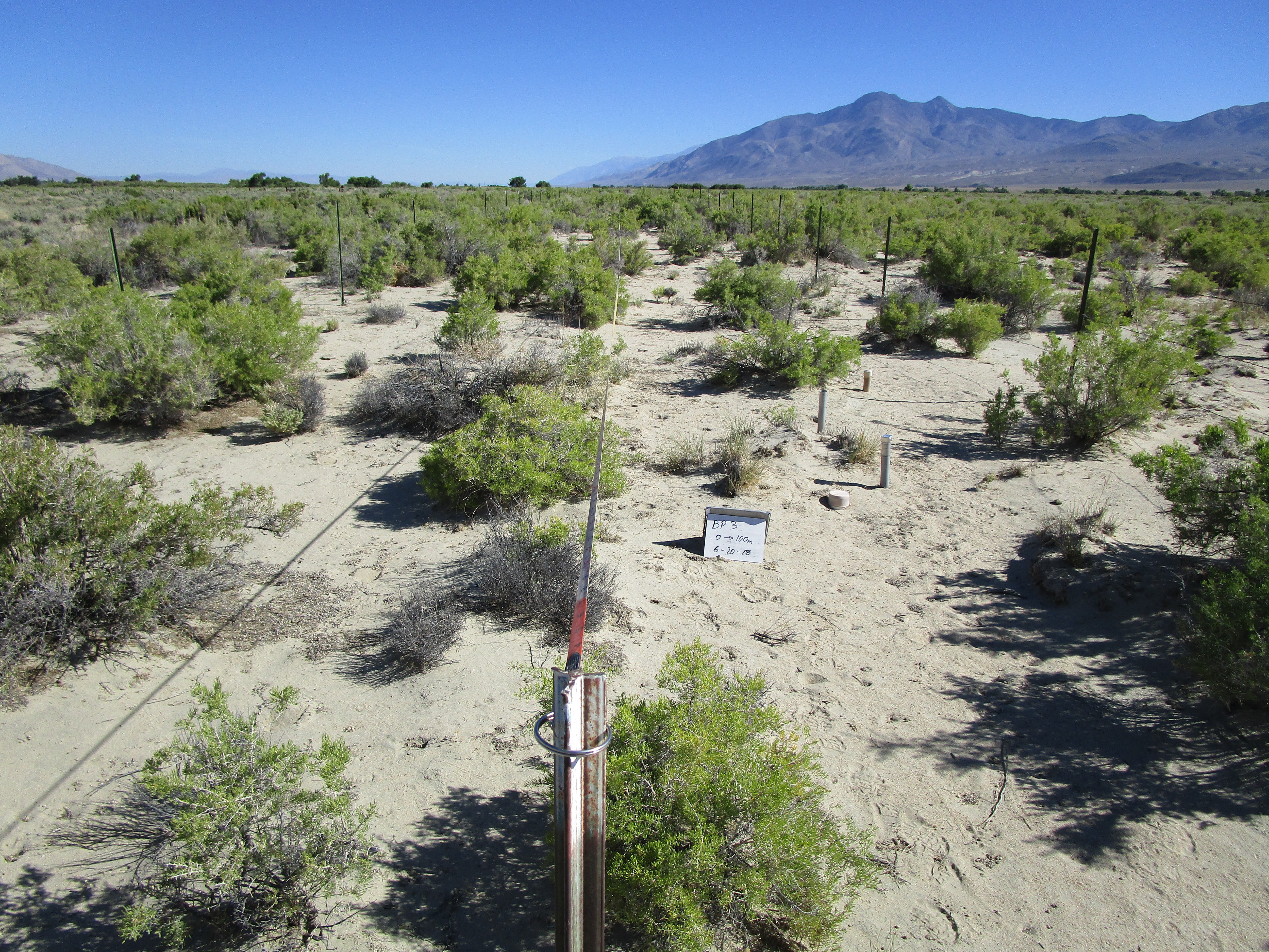 Big Pine Monitoring Site #3 point-frame photo