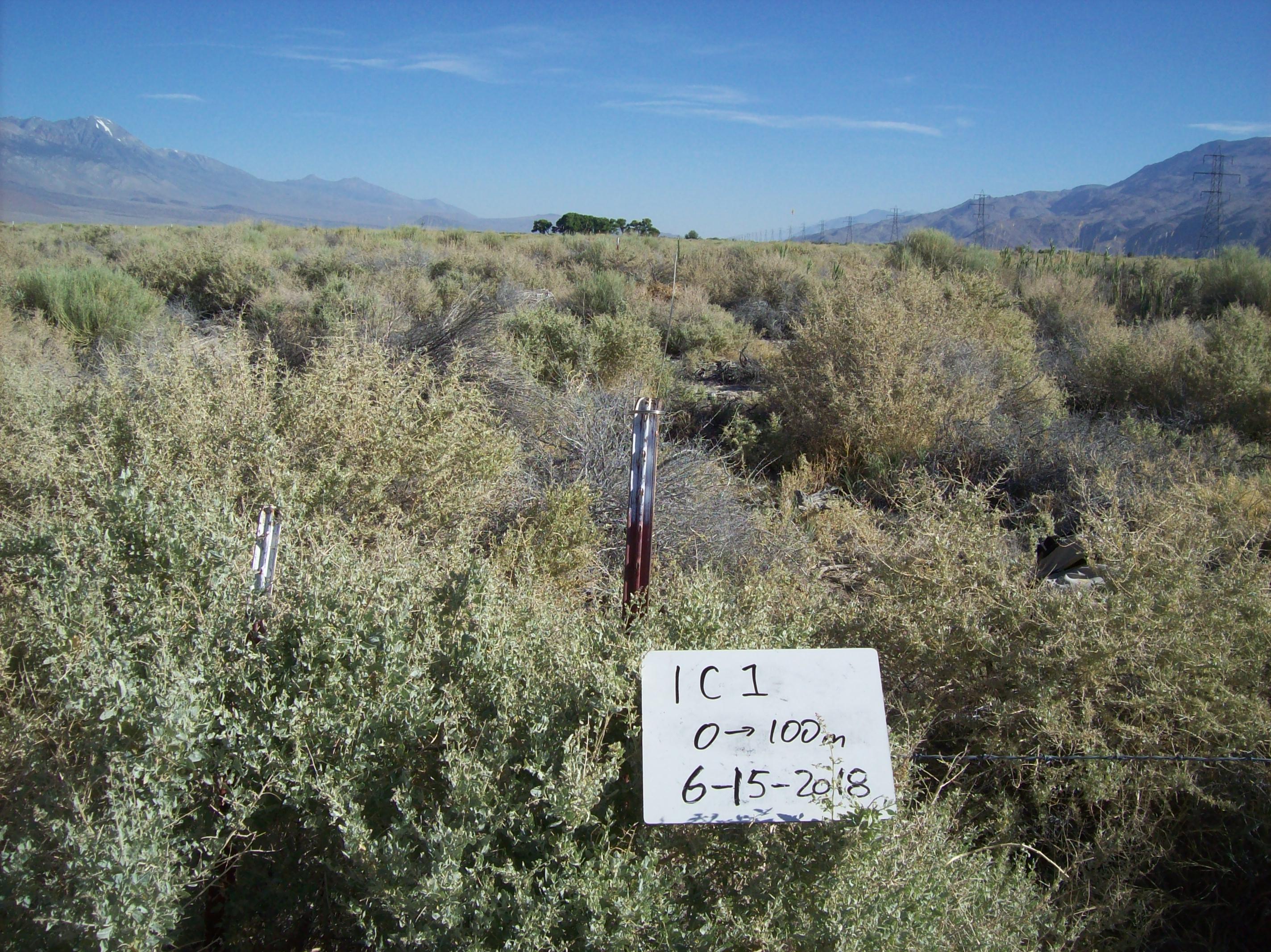 Independence/Oak Control Site #1 point-frame photo