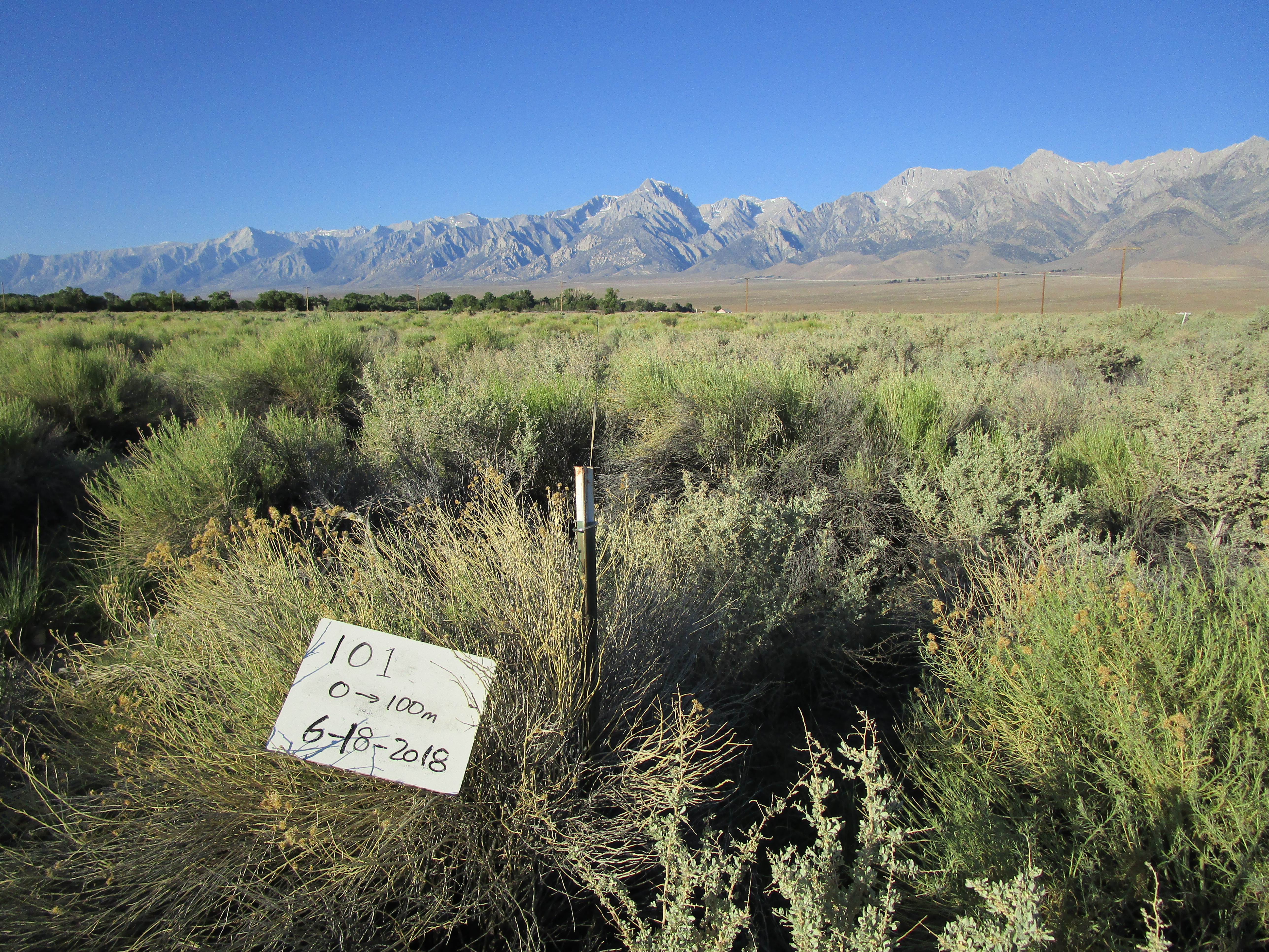 Independence/Oak Monitoring Site #1 point-frame photo