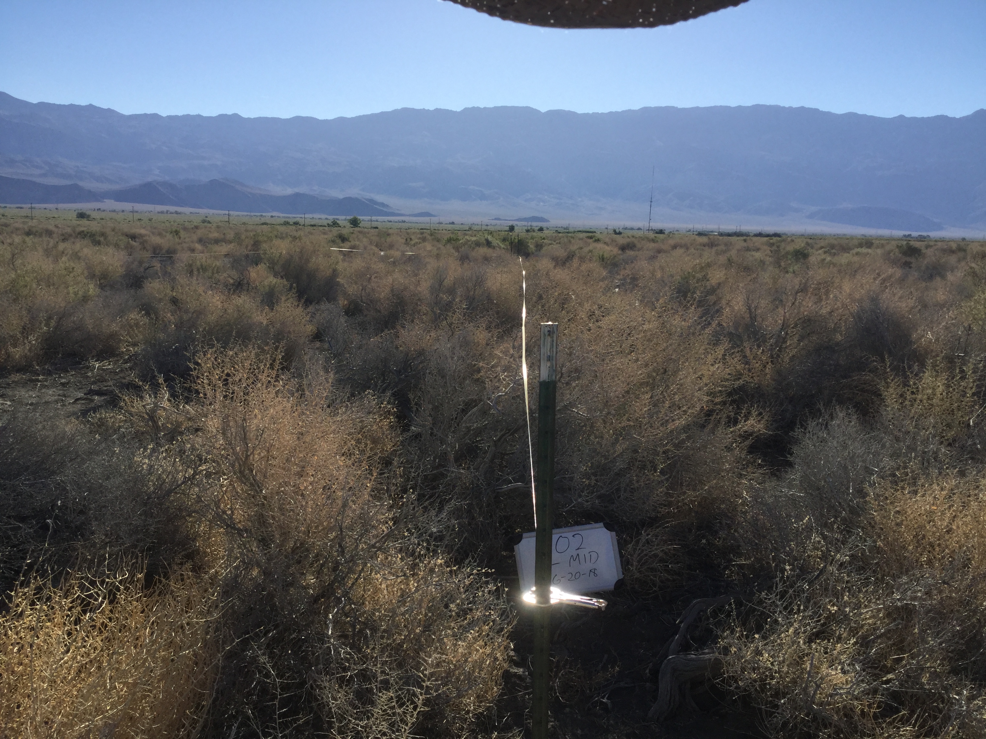 Independence/Oak Monitoring Site #2 point-frame photo
