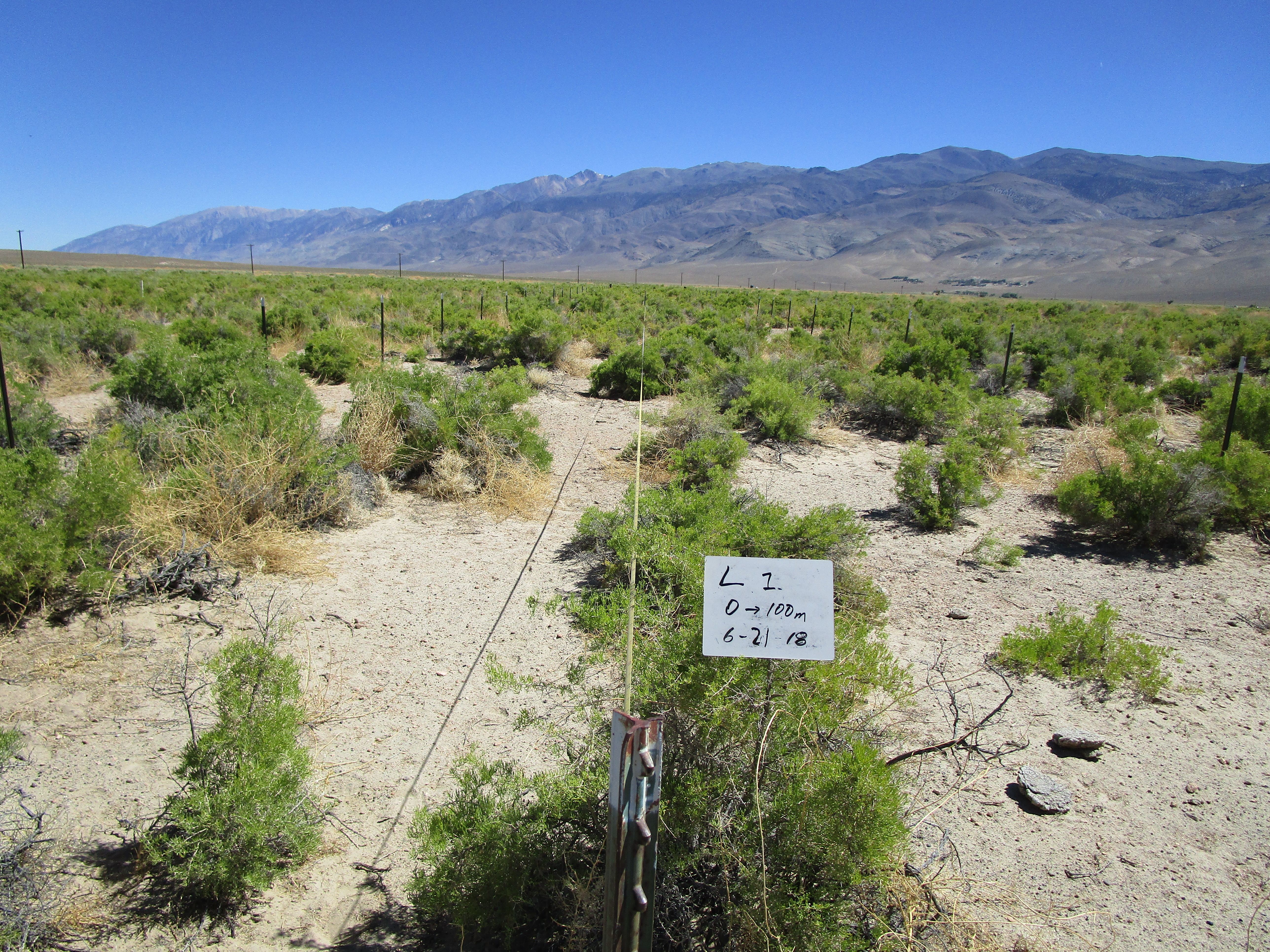 Laws Monitoring Site #1 point-frame photo