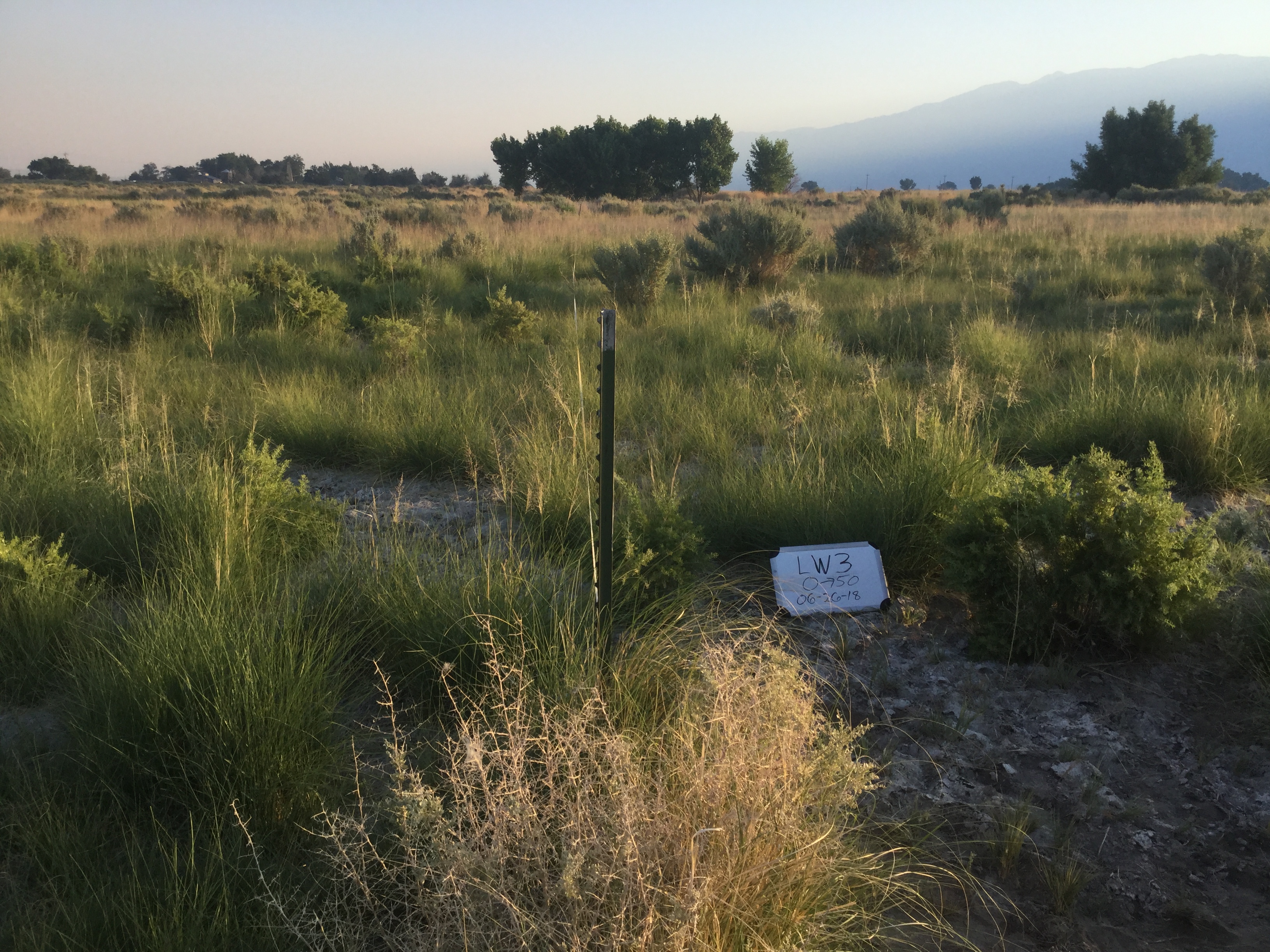 Laws Monitoring Site #3 point-frame photo