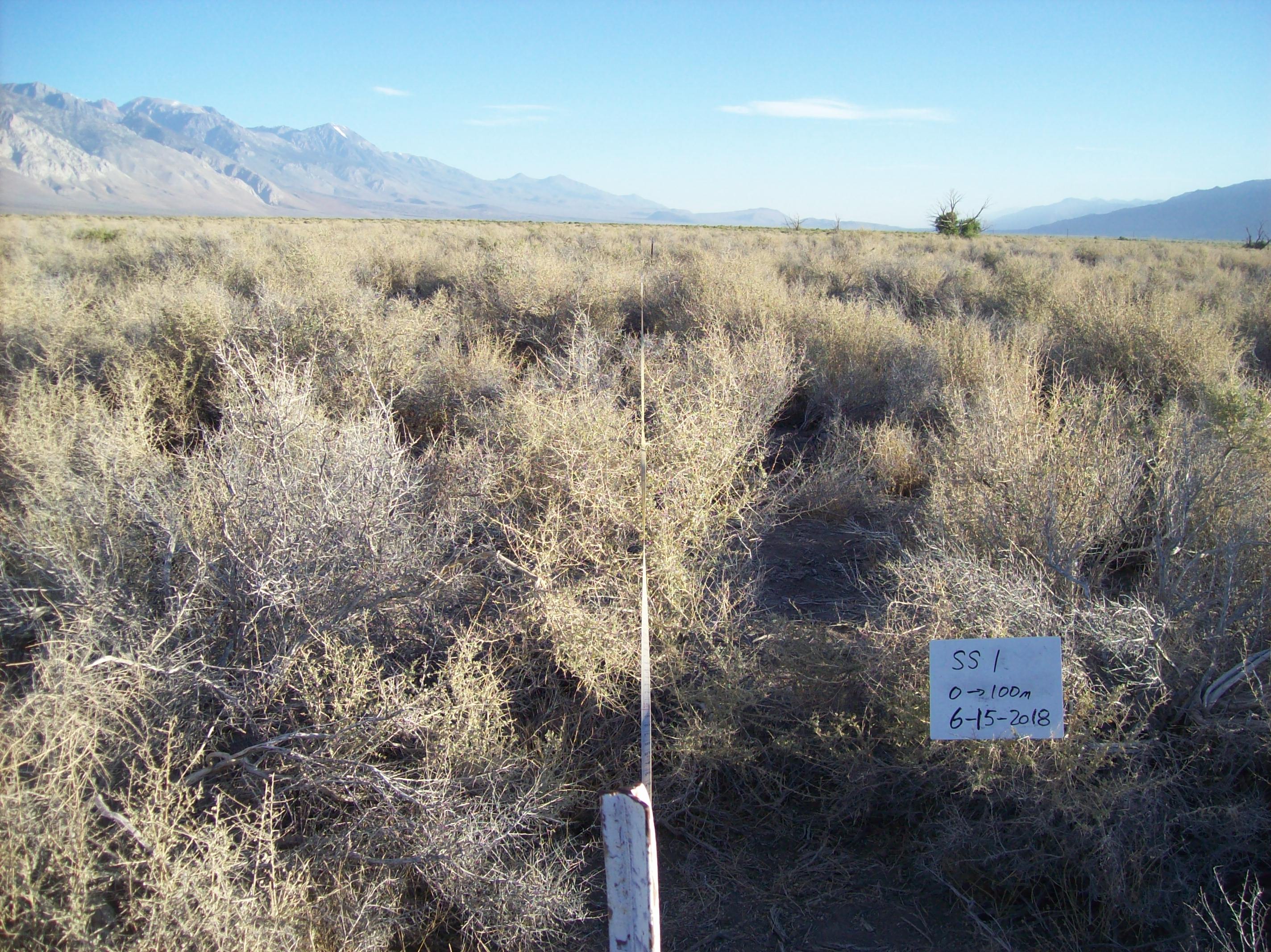 Symmes/Shepherd Monitoring Site #1 point-frame photo