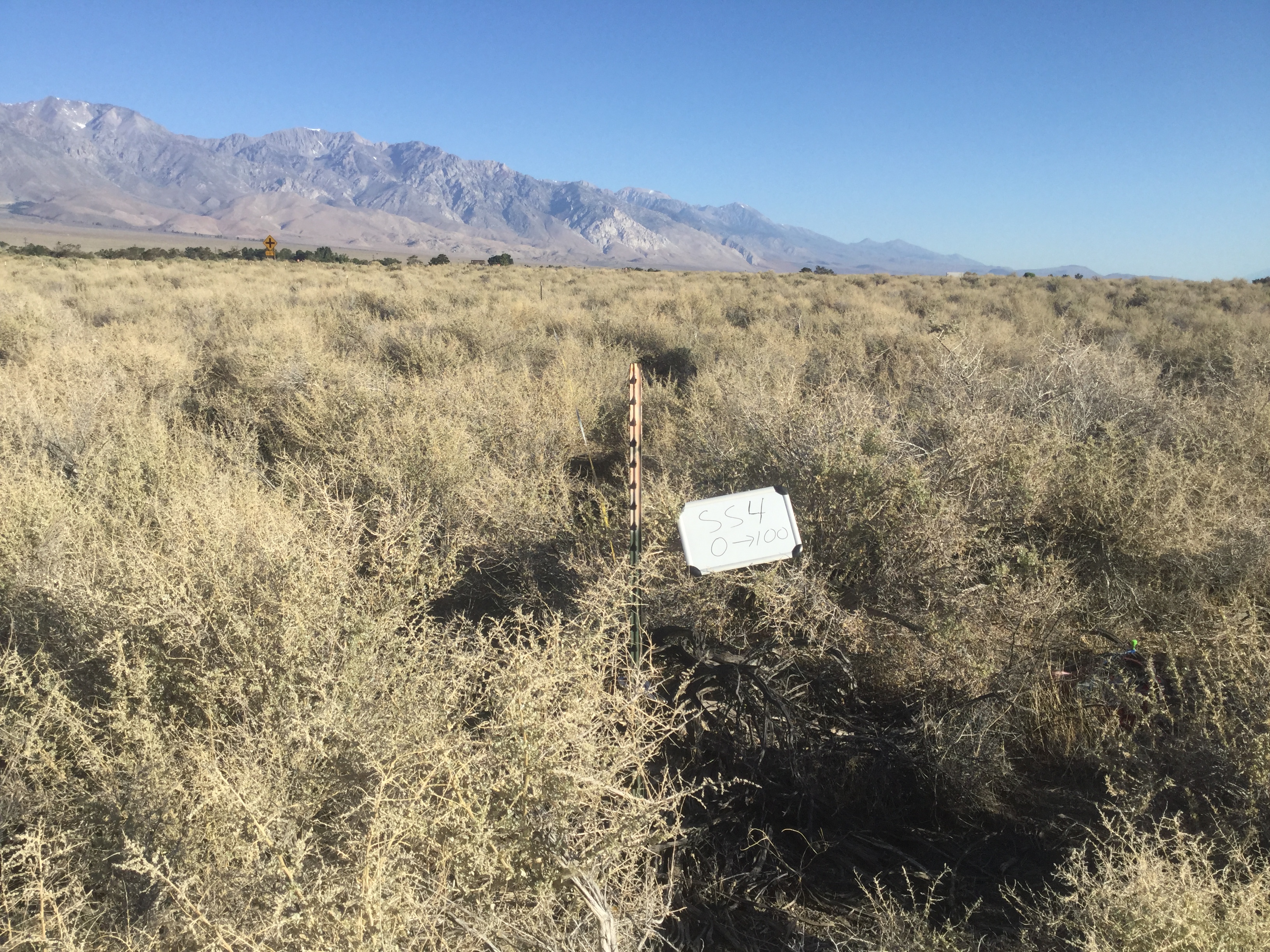 Symmes/Shepherd Monitoring Site #4 point-frame photo