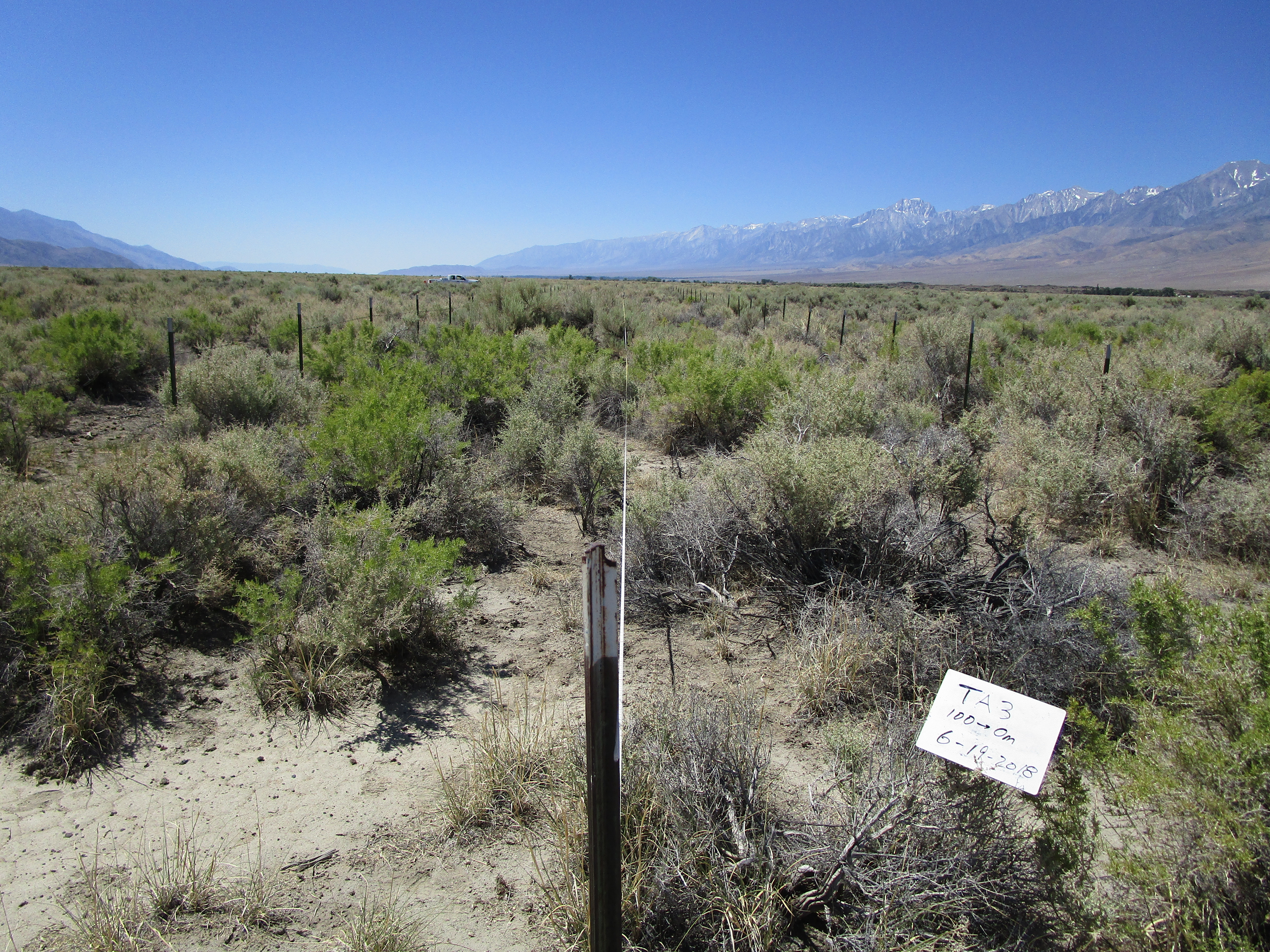 Taboose/Aberdeen Monitoring Site #3 point-frame photo