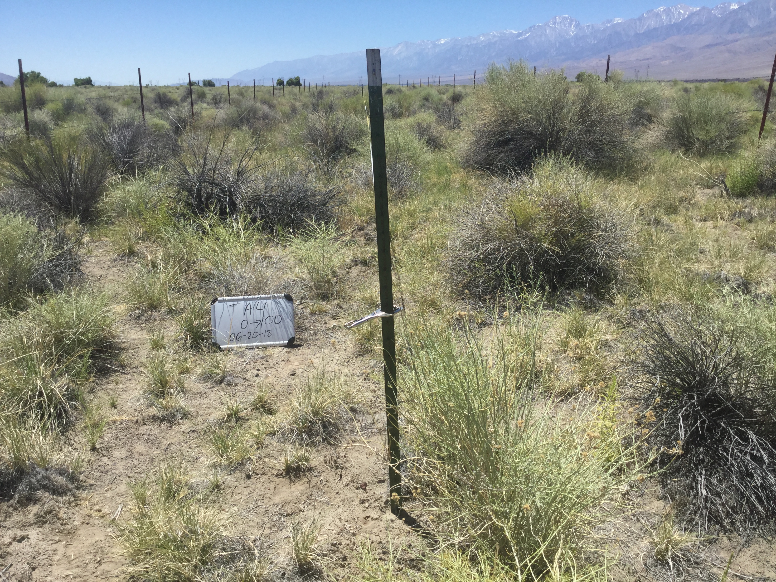 Taboose/Aberdeen Monitoring Site #4 point-frame photo