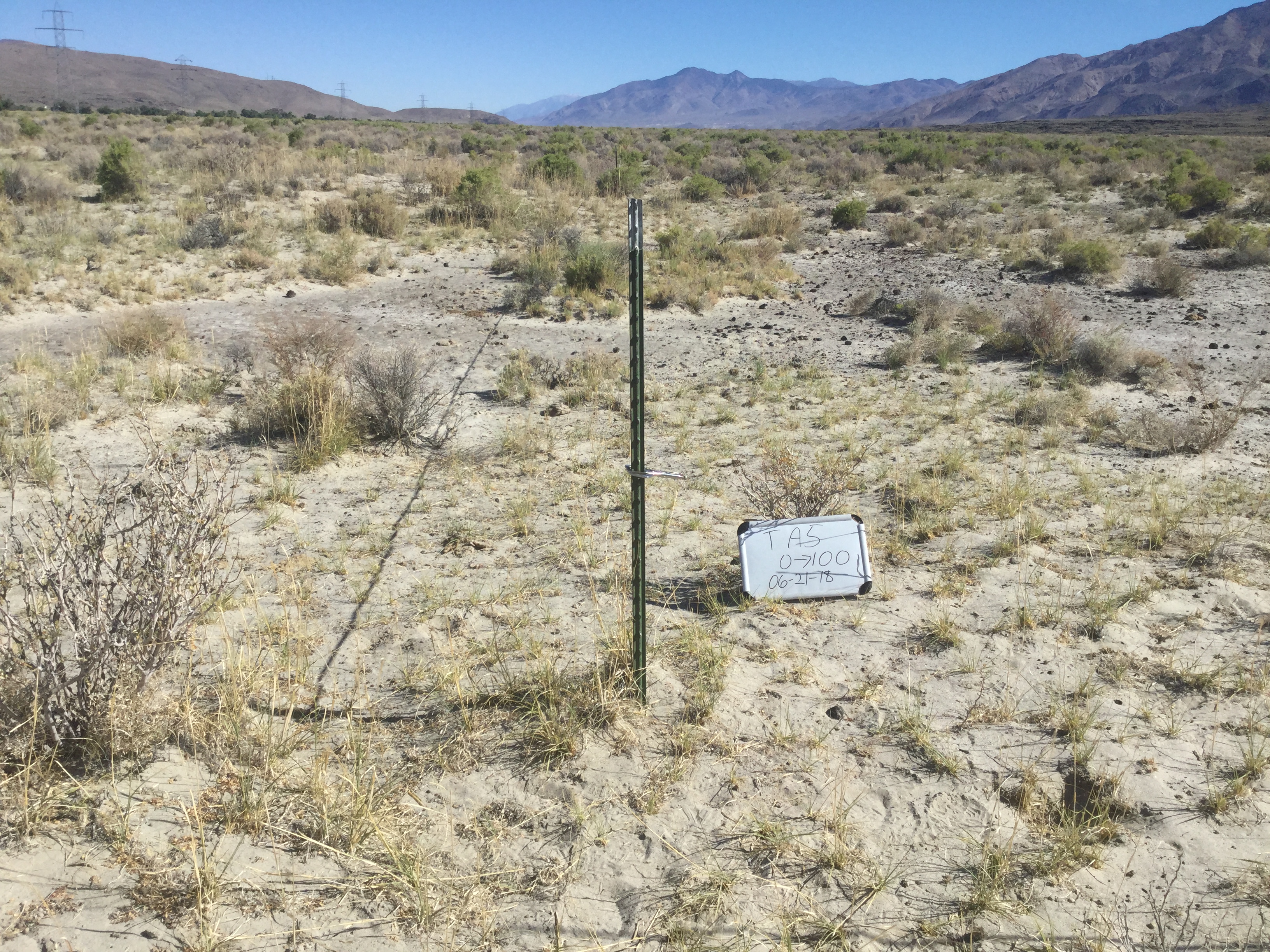 Taboose/Aberdeen Monitoring Site #5 point-frame photo
