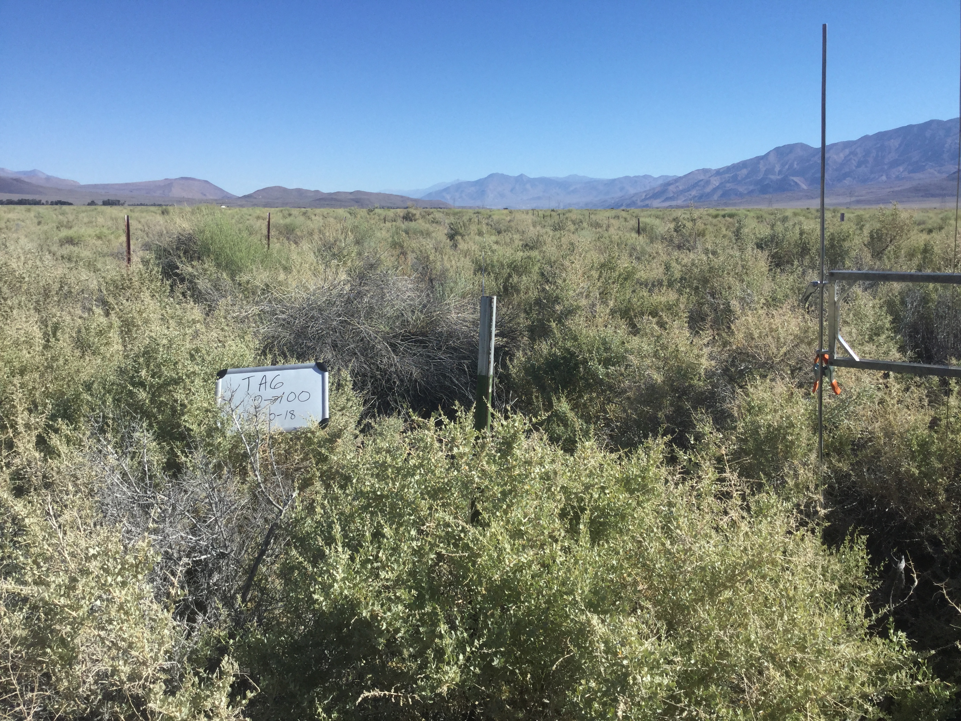 Taboose/Aberdeen Monitoring Site #6 point-frame photo