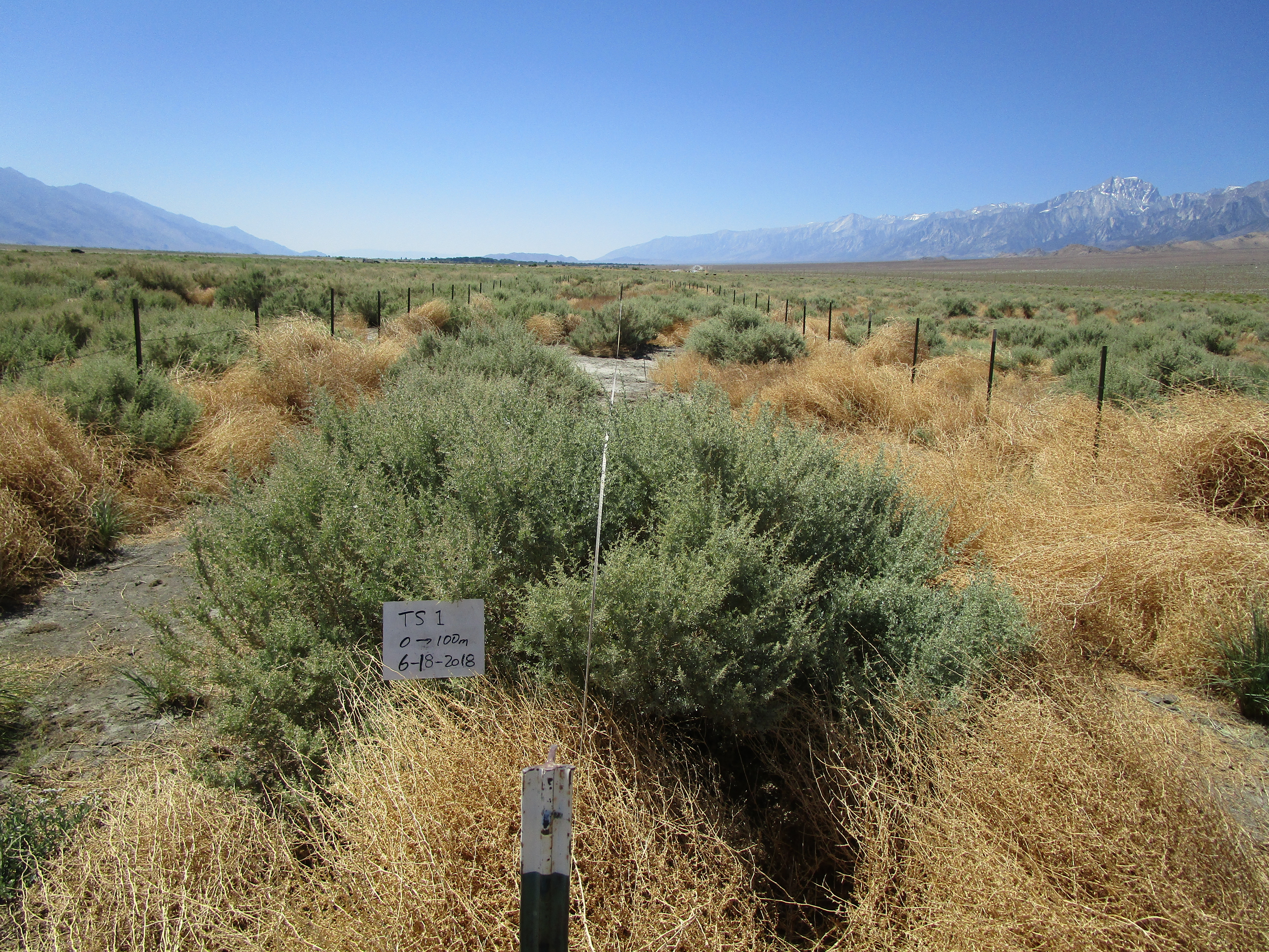 Thibaut/Sawmill Monitoring Site #1 point-frame photo