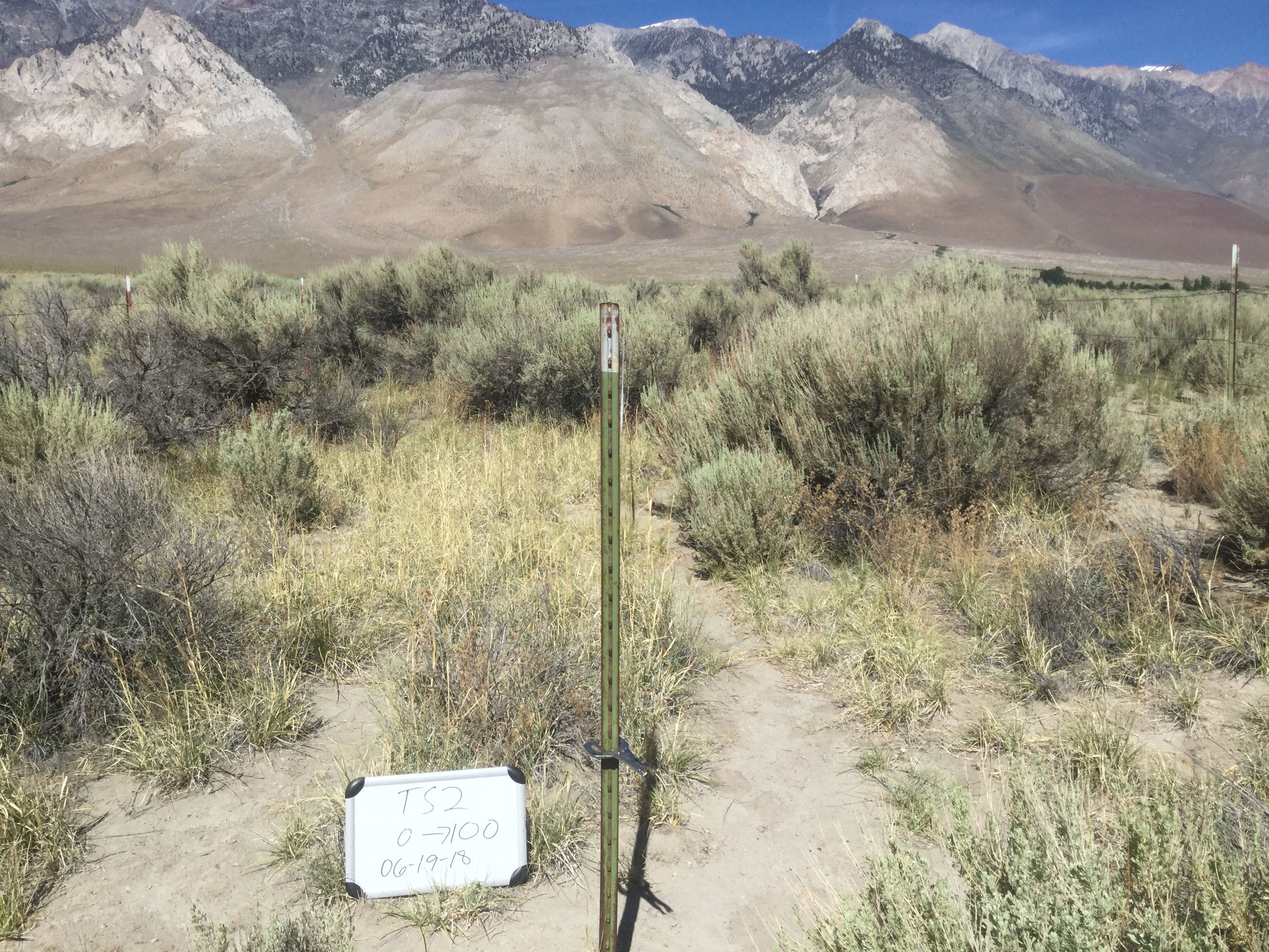 Thibaut/Sawmill Monitoring Site #2 point-frame photo