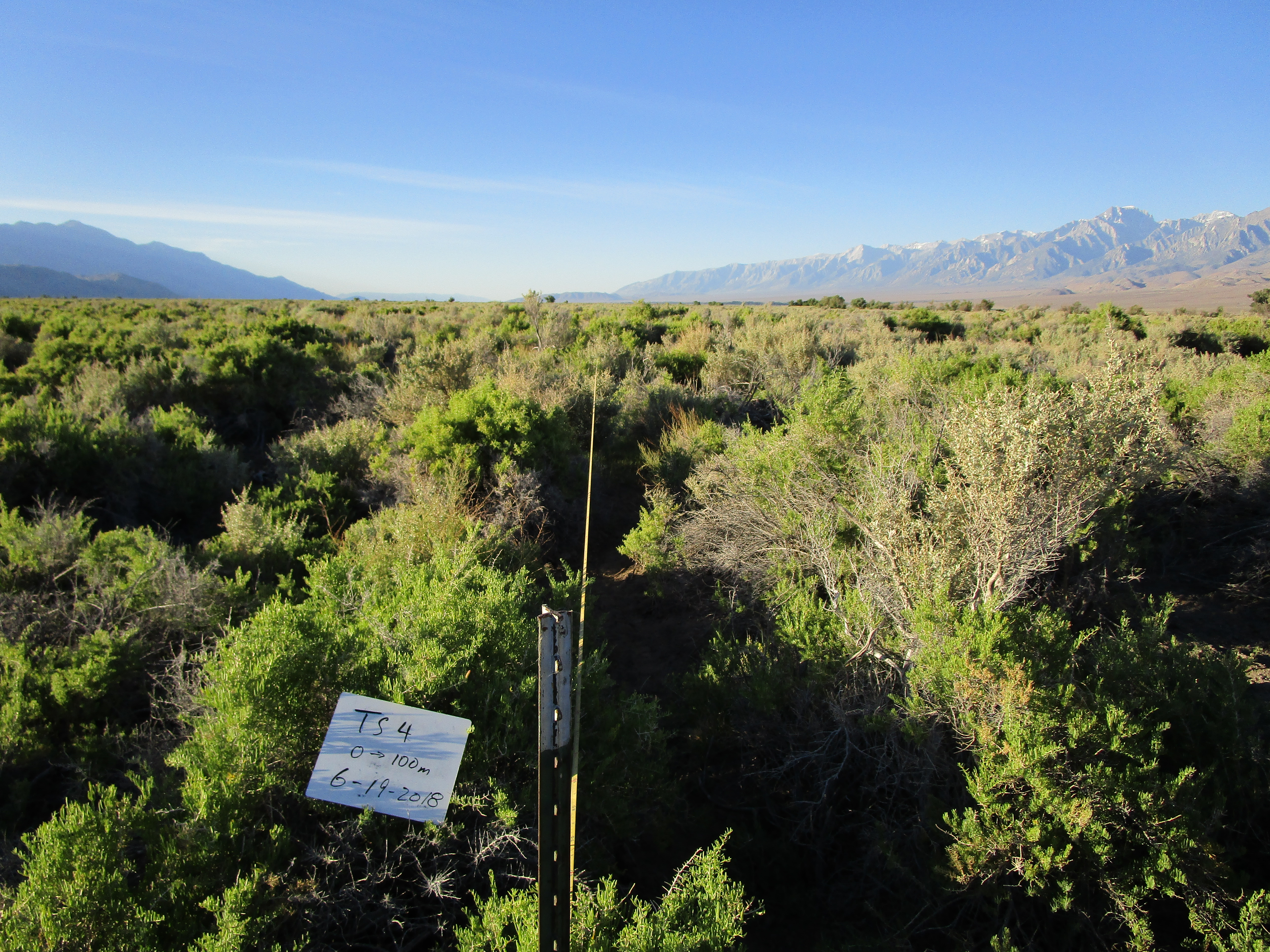 Thibaut/Sawmill Monitoring Site #4 point-frame photo